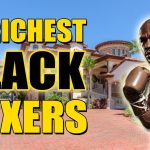 15 Expensive Things Owned By Black Millionaire Boxers